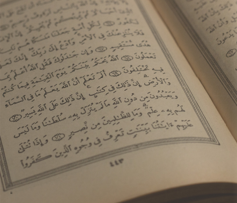 Book by Layla Dessouki